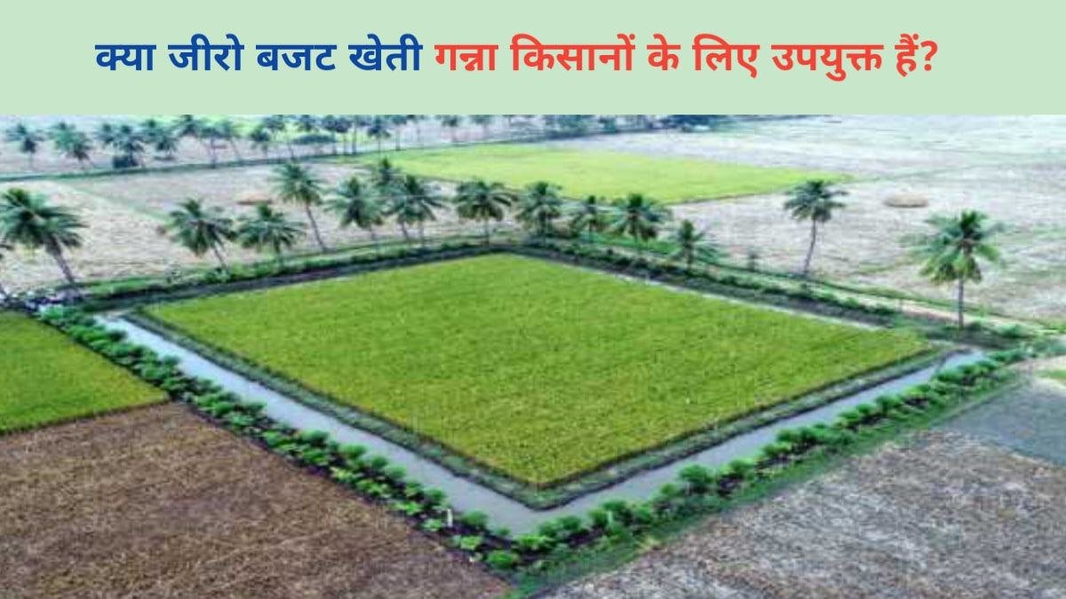 Zero Budget Farming : क्या जीरो बजट खेती गन्ना किसानों के लिए उपयुक्त हैं?