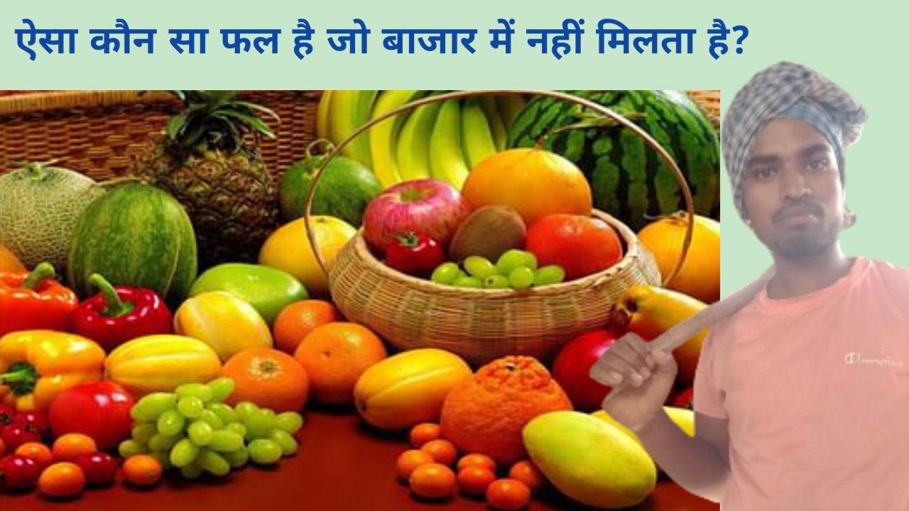 Fruit ऐसा कौन सा फल है जो बाजार में नहीं मिलता है जानिए विस्तार से 1