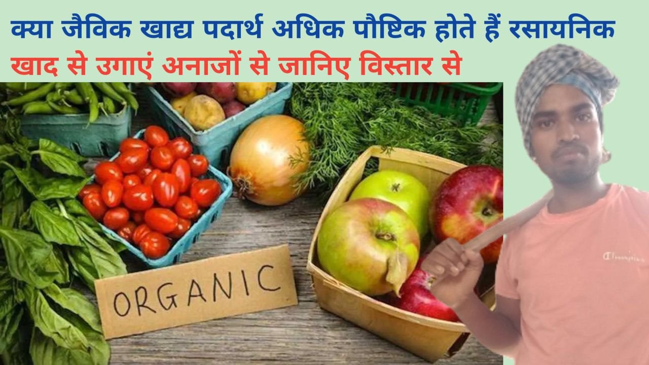 Organic Foods क्या जैविक खाद्य पदार्थ अधिक पौष्टिक होते हैं