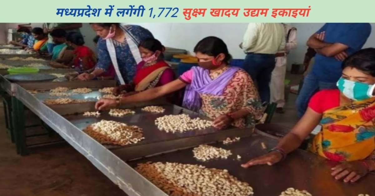 मध्यप्रदेश में लगेंगी 1,772 सुक्ष्म खादय उद्यम इकाइयां