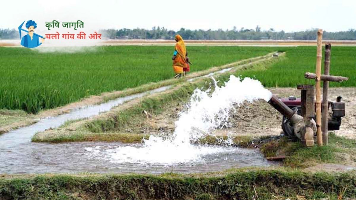 किसानों द्वारा फसलों की सिंचाई के संबंध में अक्सर पूछे जाने वाले कुछ महत्वपूर्ण सवालों के जवाब!